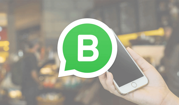 WhatsApp for Business: què és i com utilitzar-lo | 