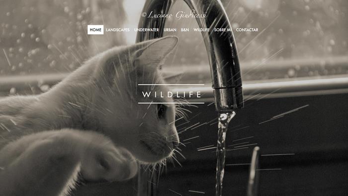 The most beautiful Oleoshop online stores | 