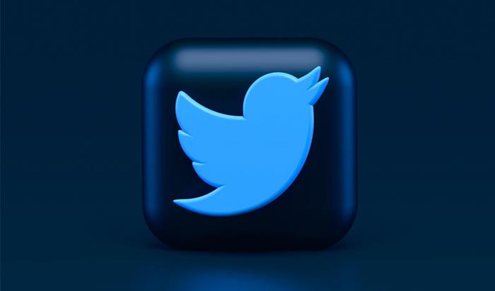 Funcions avançades de Twitter (1) | 