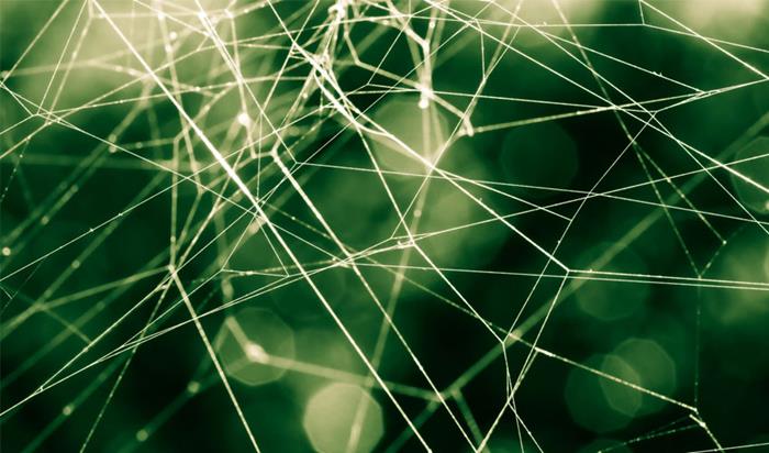 Web3: la web que viene | 