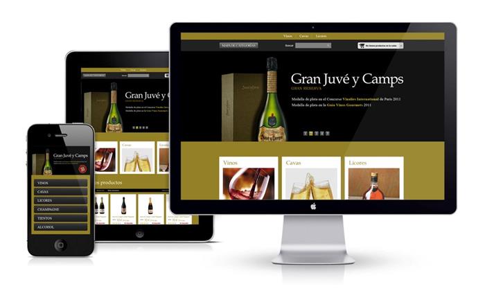 What´s Oleoshop and how it works | 