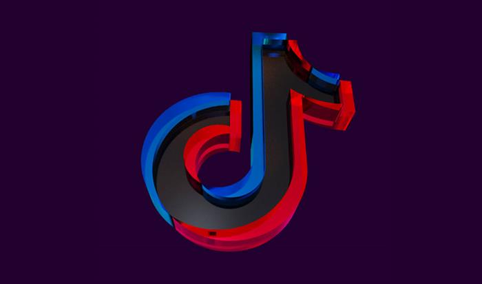Shopping behavior on TikTok | 