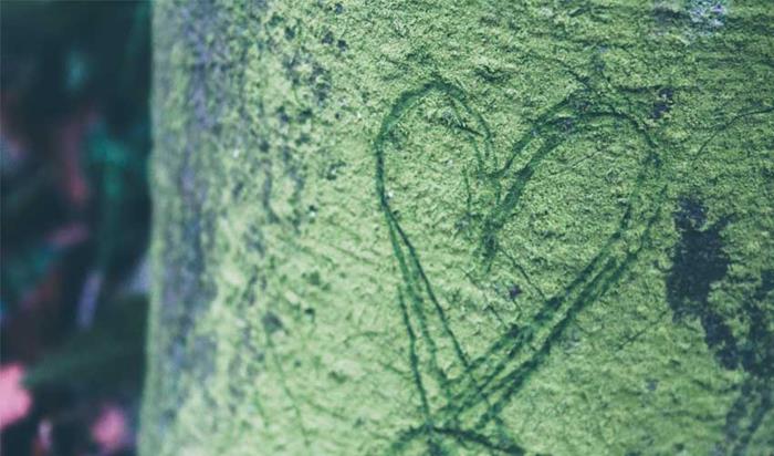 Nínxols eCommerce eco-friendly: això és el que ve | 