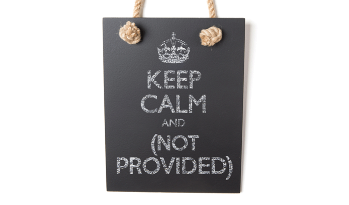 SEO on page paso a paso: cómo combatir el “not provided” | 