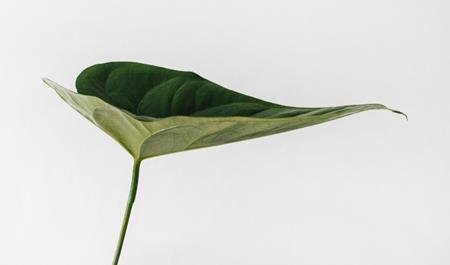 Cómo reducir la huella de carbono de tu eCommerce | 