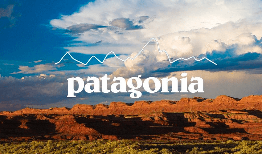 va a decidir Inminente horizonte Caso de éxito eCommerce: la historia de Patagonia – Blog Oleoshop