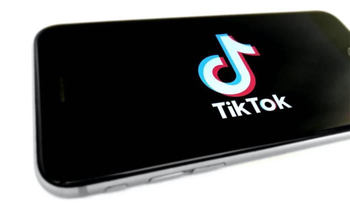 Insights on TikTok: who uses it, what for and where are they from? | 