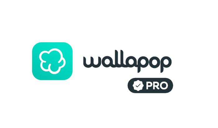 Marketplaces minoritaris d'interès: Wallapop Pro | 