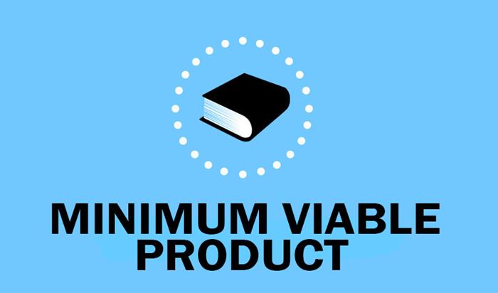 What is the Minimum Viable Product? | 