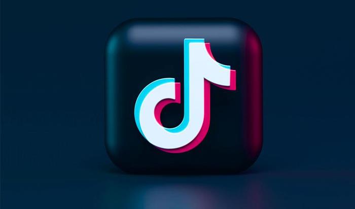 Insights on TikTok: is it a suitable channel for your brand?(2) | 