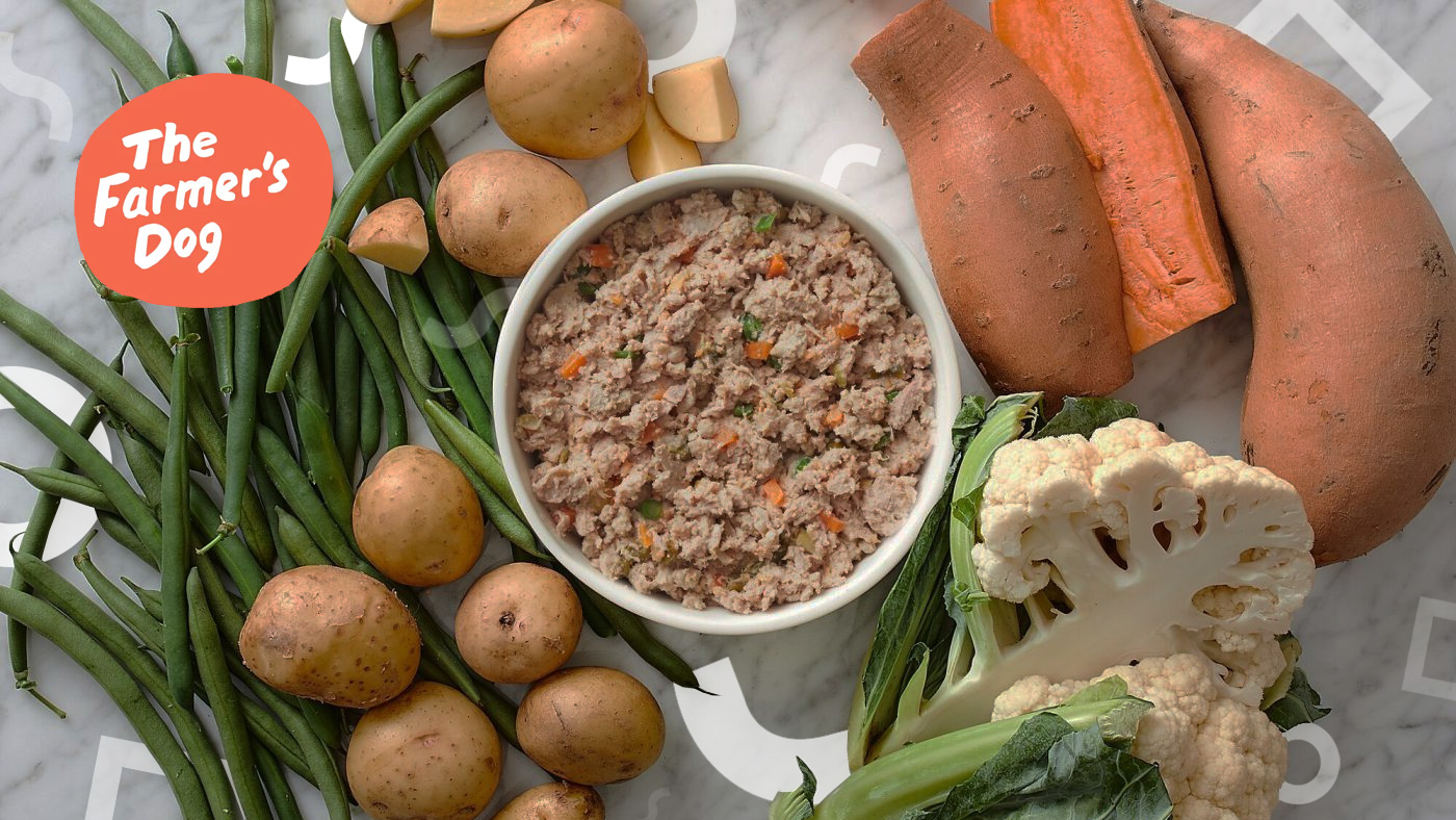 eCommerce Success Story Natural Dog Food by Farmer s Dog