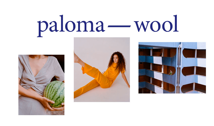 Successful eCommerce case: The Story of Paloma Wool